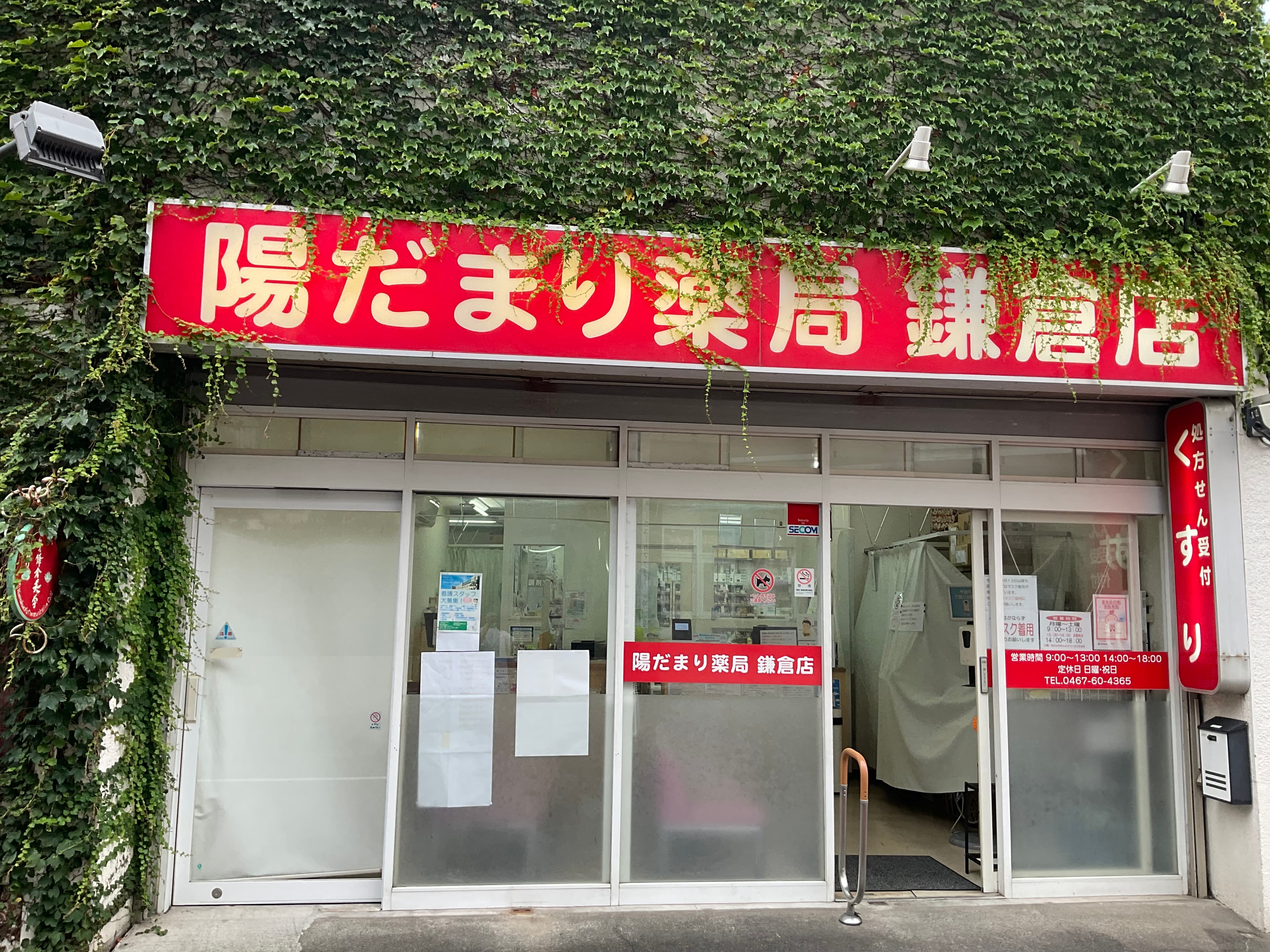 陽だまり薬局 鎌倉店のロゴ画像