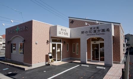 野の花薬局のロゴ画像