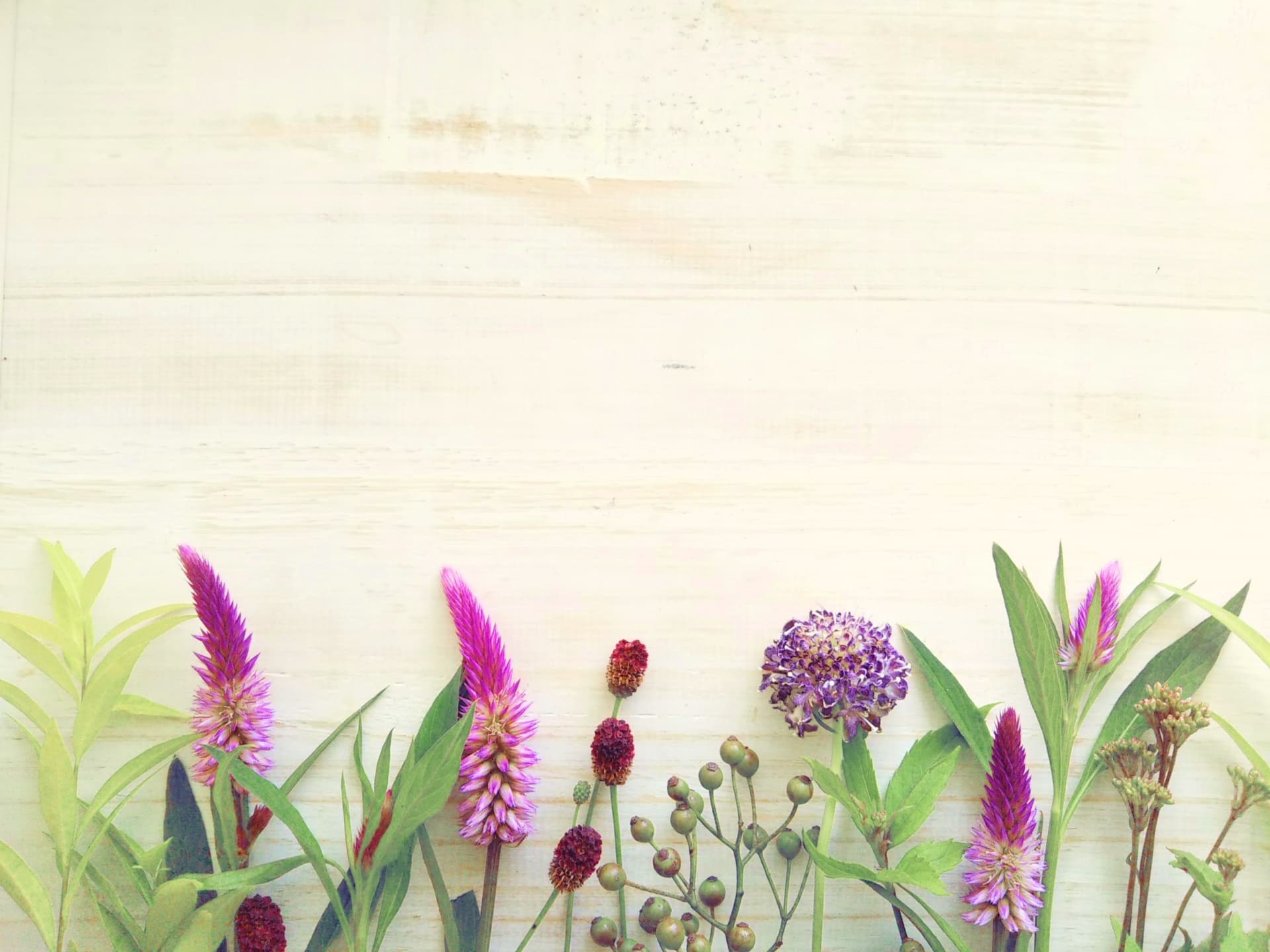 調剤薬局ココロエルのロゴ画像