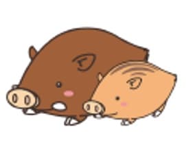 ぼうしや薬局 英賀保店のロゴ画像