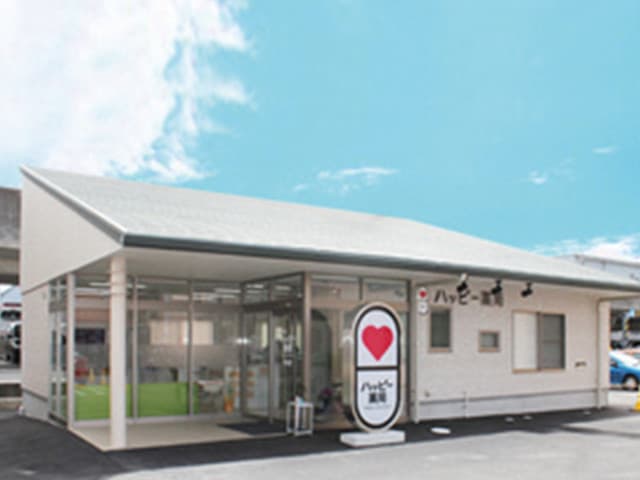 ハッピー薬局 衣山店のロゴ画像