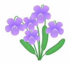 すみれ薬局のロゴ画像